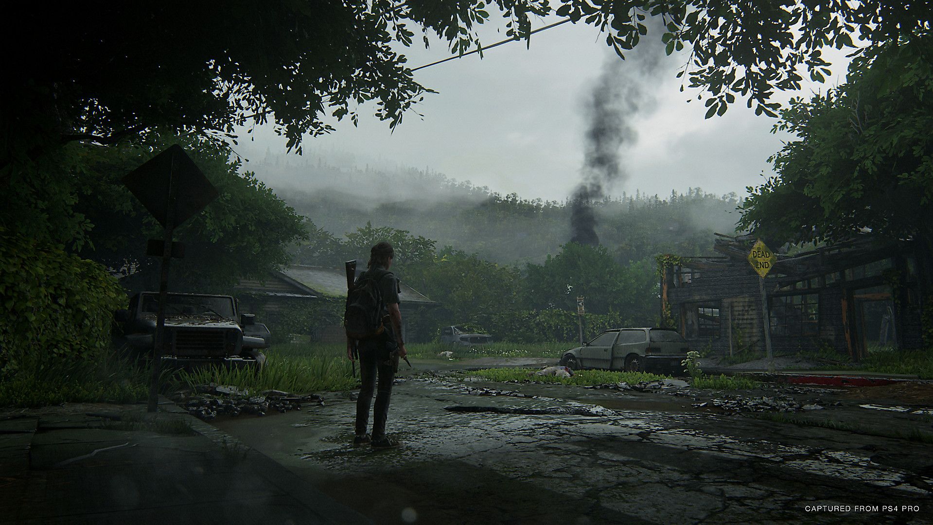 Illustration de l'article sur The Last of Us Part II