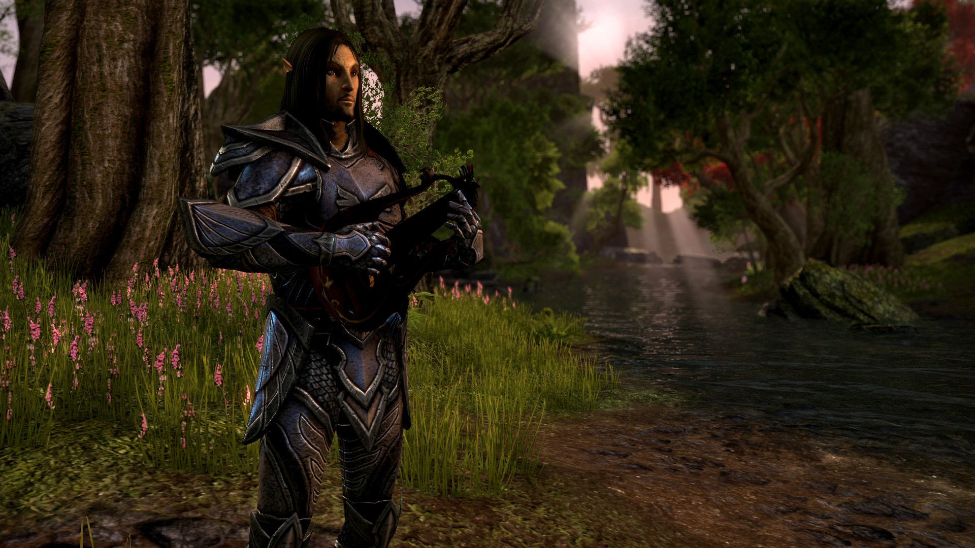 Illustration de l'article sur The Elder Scrolls Online