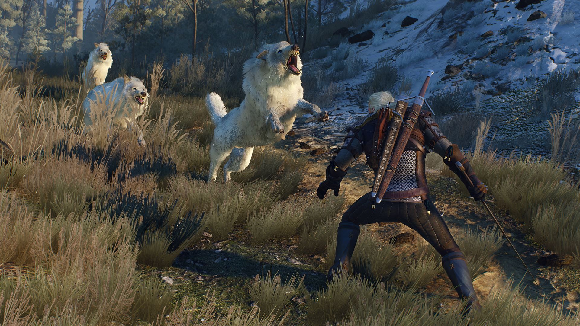 Illustration de l'article sur The Witcher 3 :  Wild Hunt