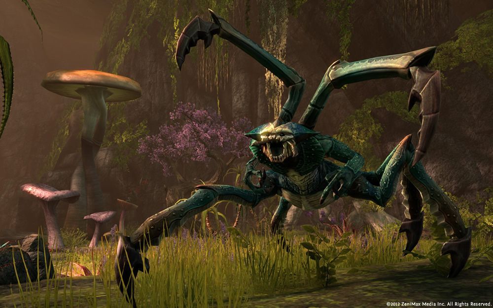 Illustration de l'article sur The Elder Scrolls Online : Tamriel Unlimited