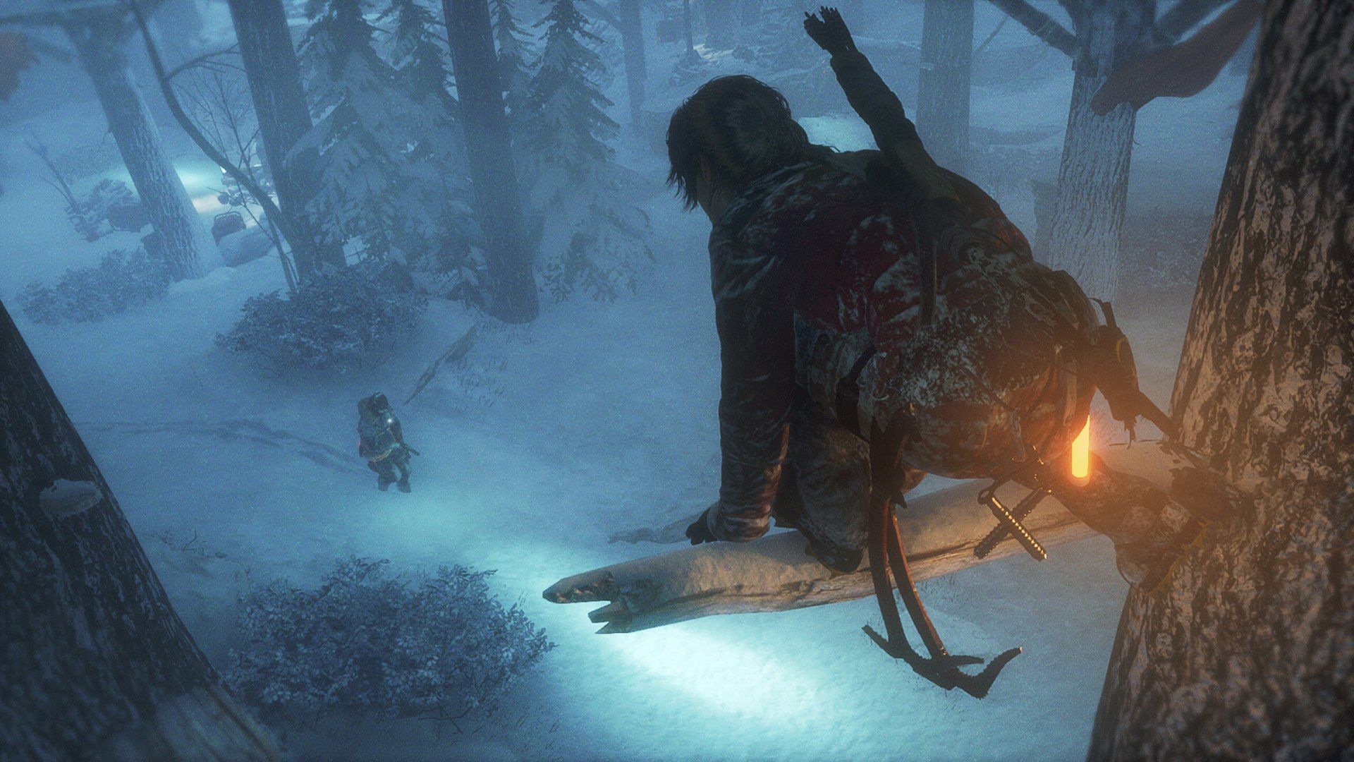 Illustration de l'article sur Rise of the Tomb Raider