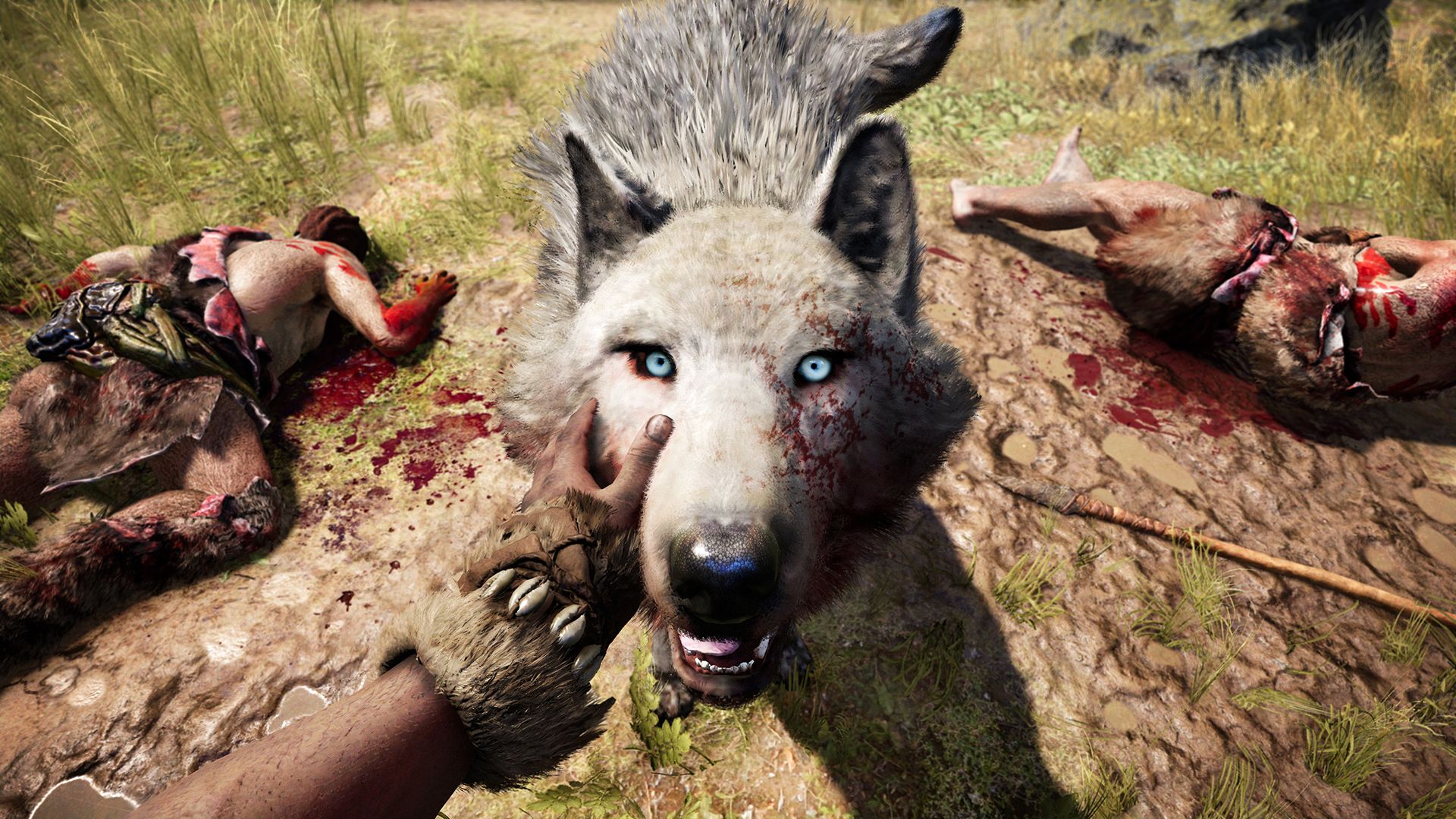 Illustration de l'article sur FarCry Primal