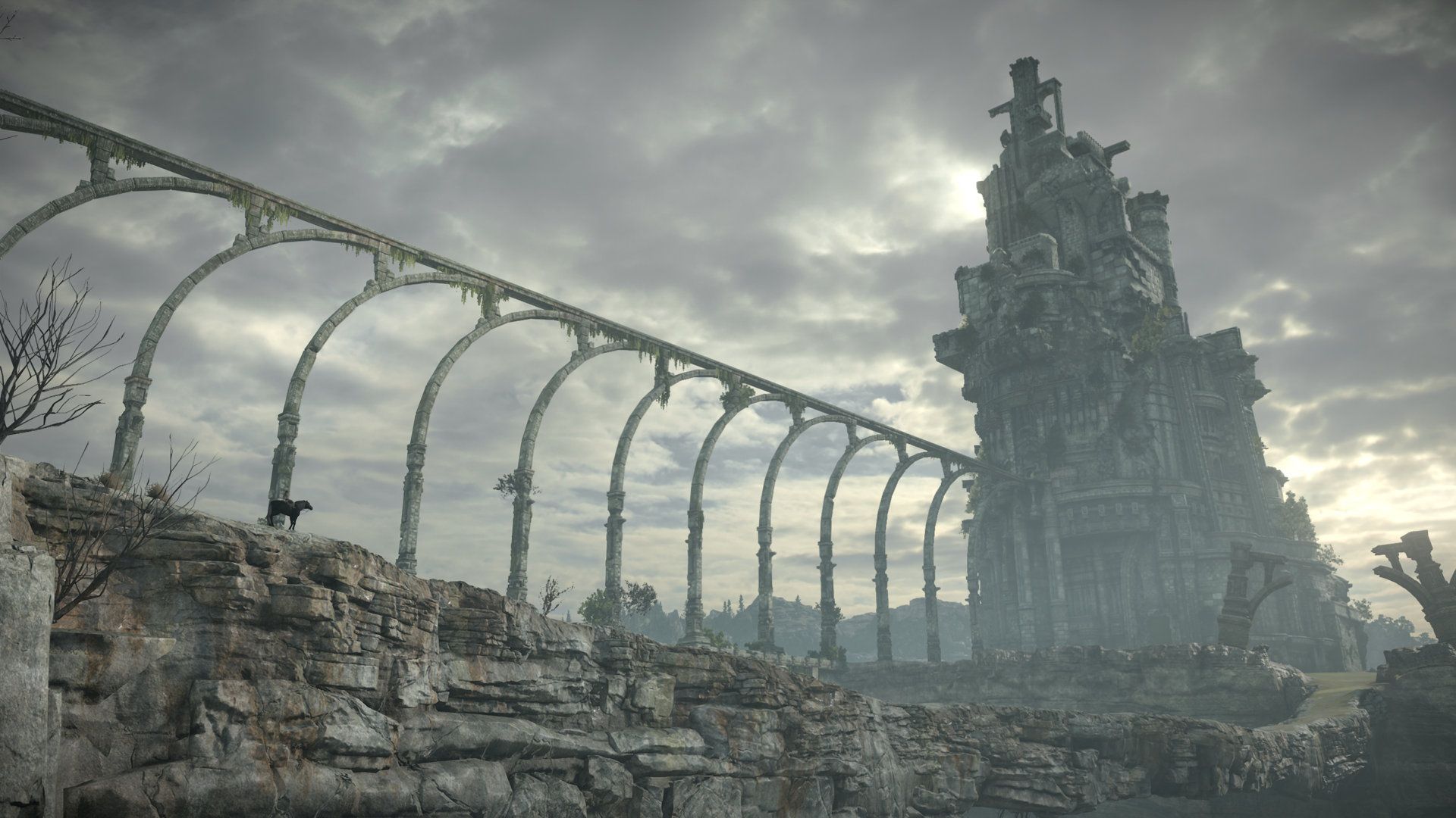 Illustration de l'article sur Shadow of the Colossus