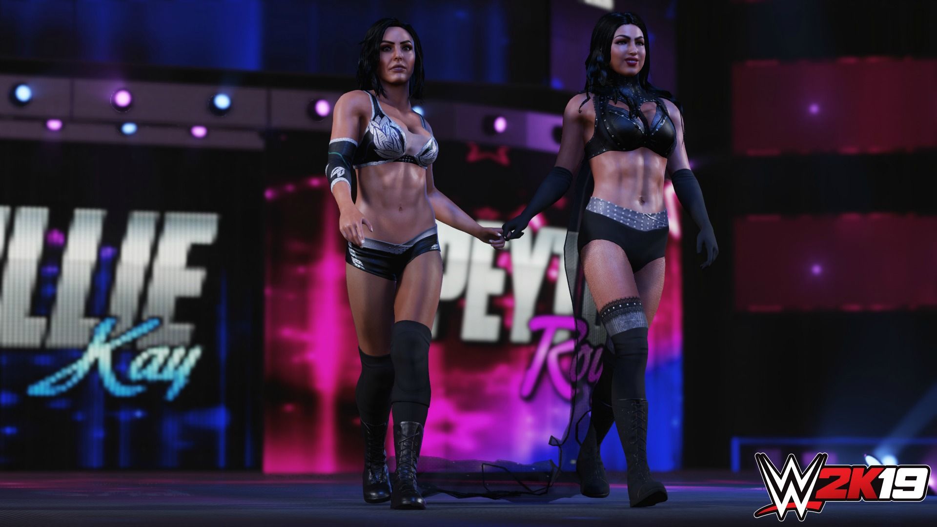 Illustration de l'article sur WWE 2K19