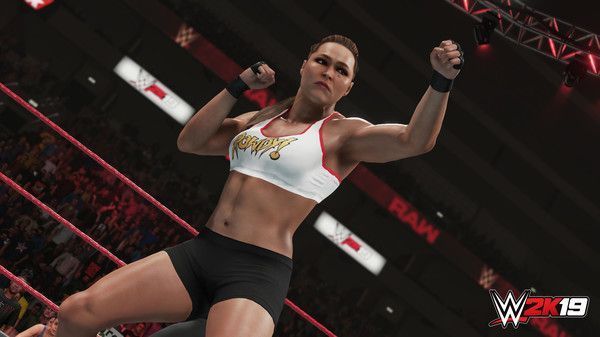 Illustration de l'article sur WWE 2K19