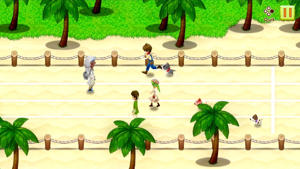 Illustration de l'article sur Harvest Moon : LumiredEspoir - Edition Spciale