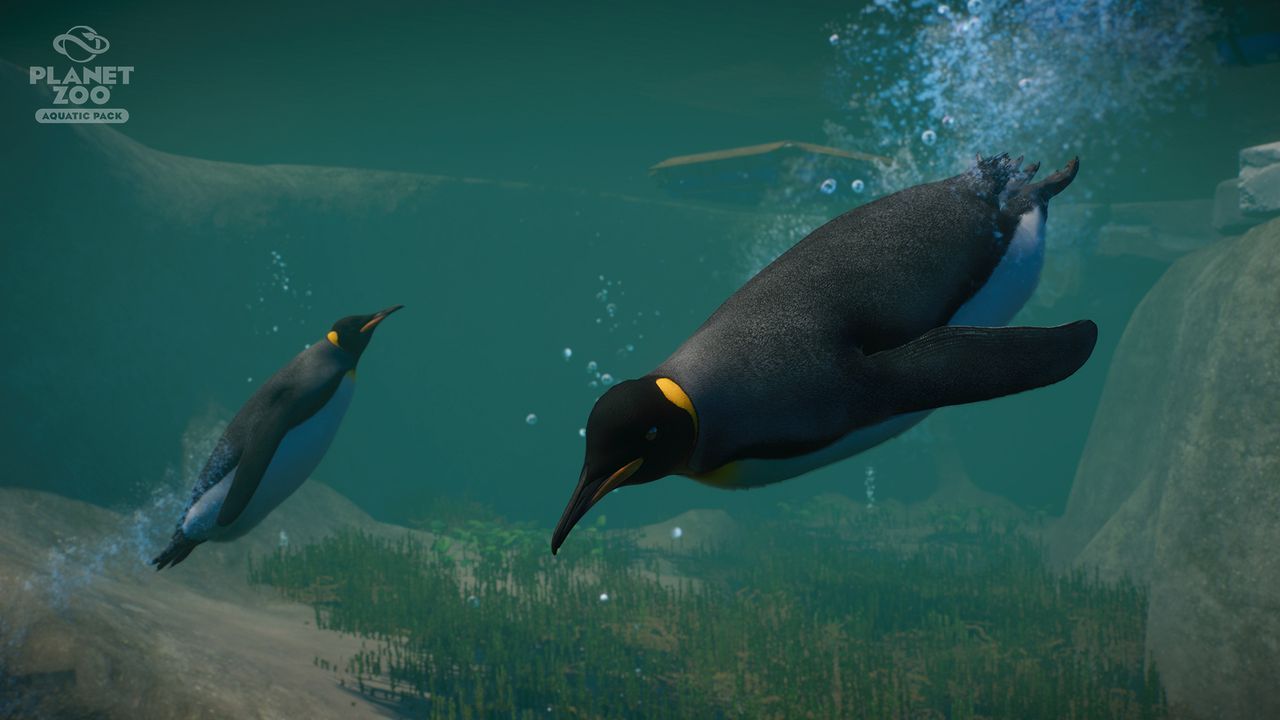 Illustration de l'article sur Planet Zoo cre des remousavec le pack aquatique