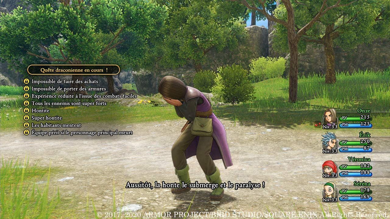 Illustration de l'article sur Dragon Quest XI S :Les Combattants de la destine 