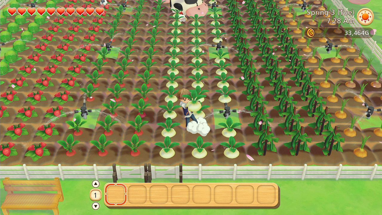 Illustration de l'article sur Story of Seasons: Pioneersof Olive Town sur Switch