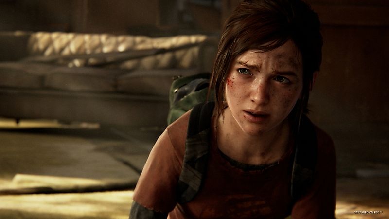 Illustration de l'article sur The Last of Us Part I