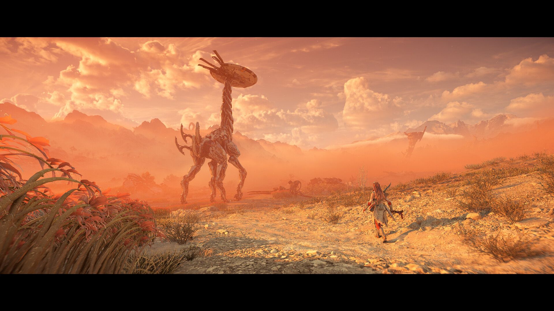 Illustration de l'article sur TEST : Horizon Forbidden WestComplete Edition (PC - STEAM)