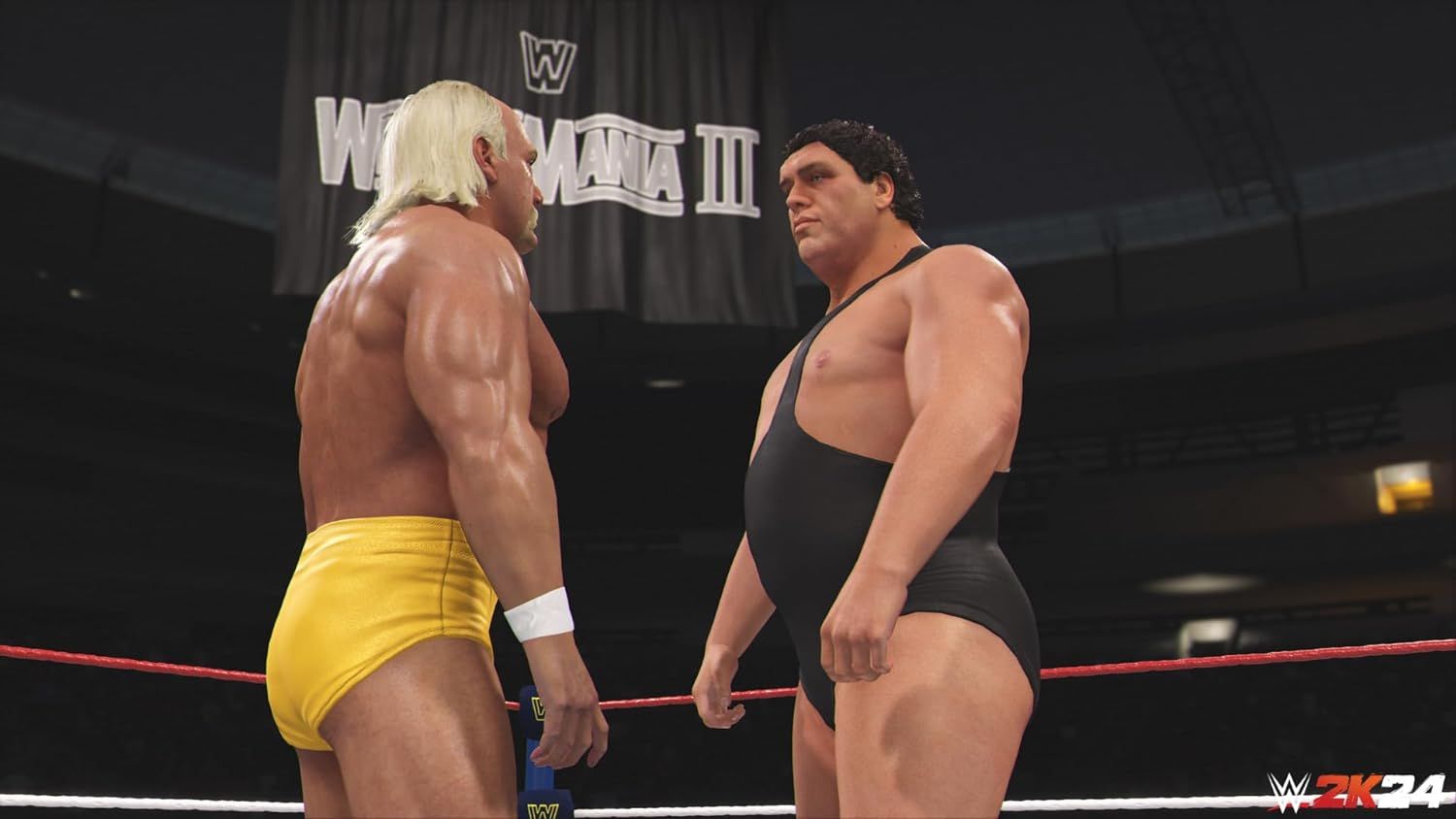 Illustration de l'article sur TEST : WWE 2K24