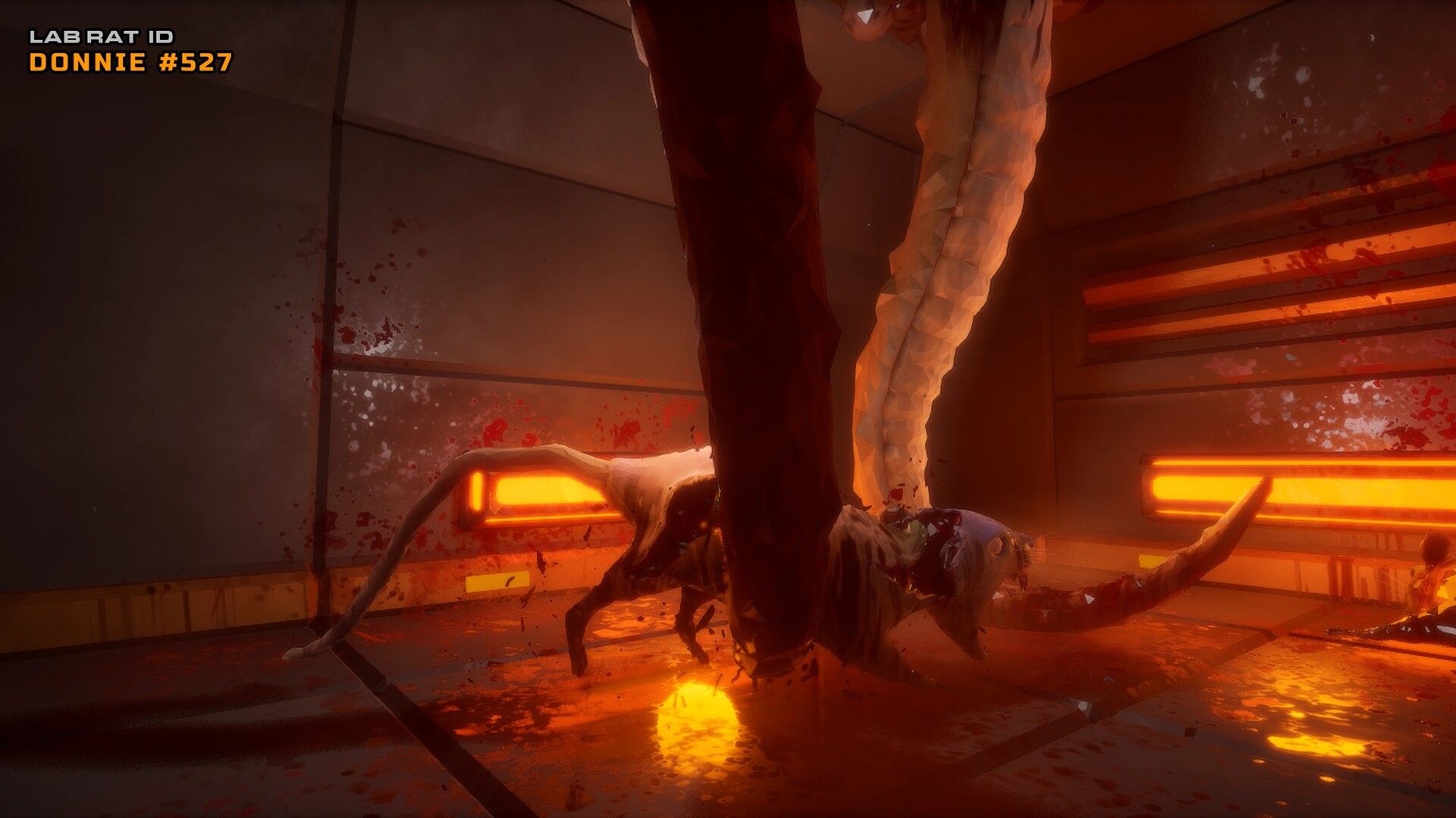 Illustration de l'article sur TEST : Cyber Rats