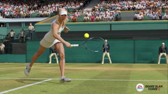 Illustration de l'article sur Grand Chelem Tennis 2