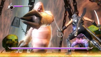 Illustration de l'article sur Ninja Gaiden Sigma Plus