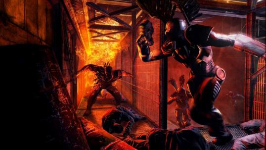 Illustration de l'article sur Afterfall Insanity