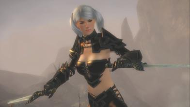 Illustration de l'article sur Guild Wars 2
