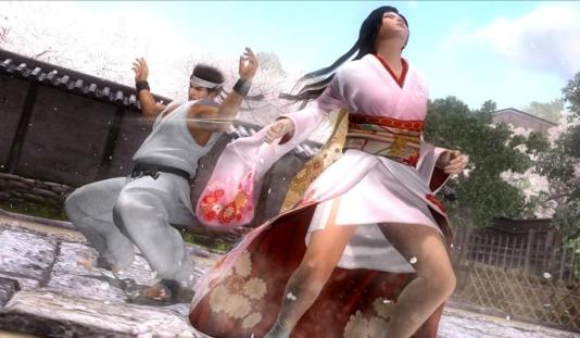 Illustration de l'article sur Dead or Alive 5