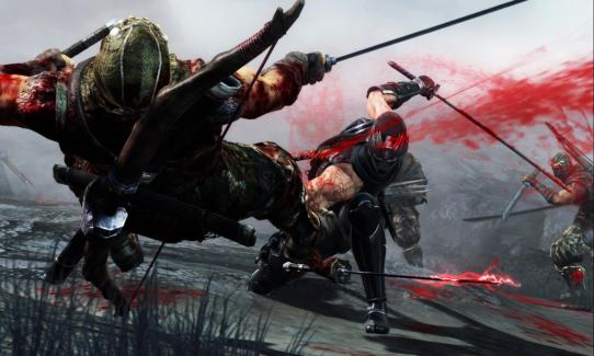 Illustration de l'article sur Ninja Gaiden 3 Razors Edge