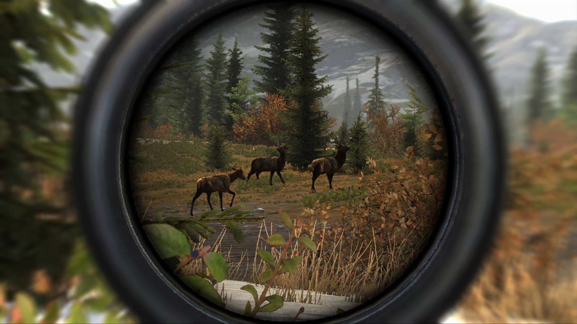 Illustration de l'article sur Cabela Big Game Hunter: Pro Hunts sortira le 26 mars