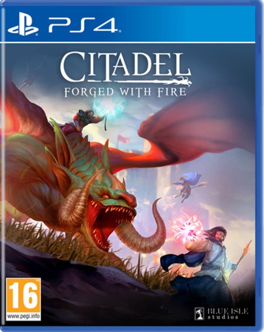 Citadel2019-ps4.jpg