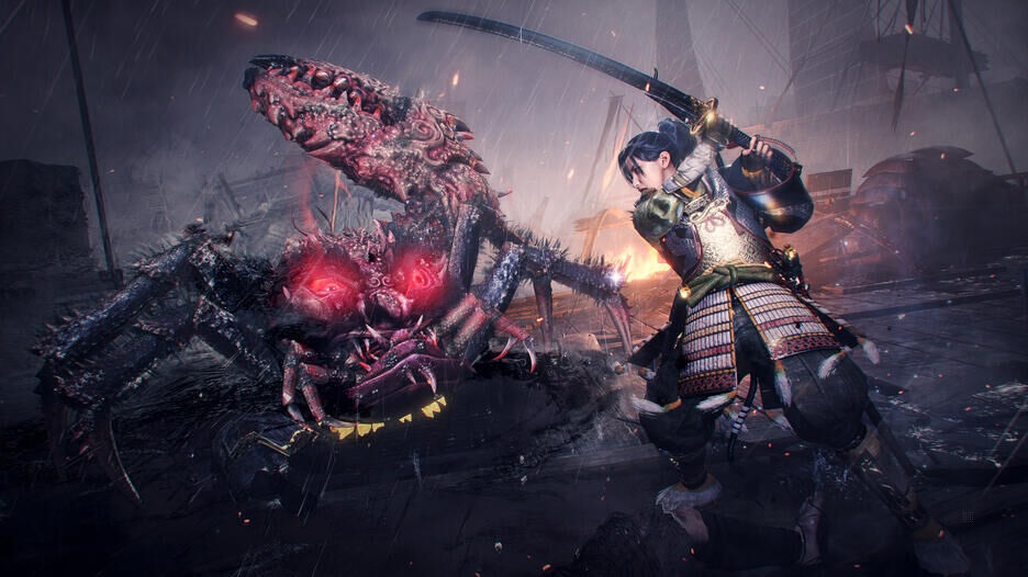 Illustration de l'article sur Nioh Collection