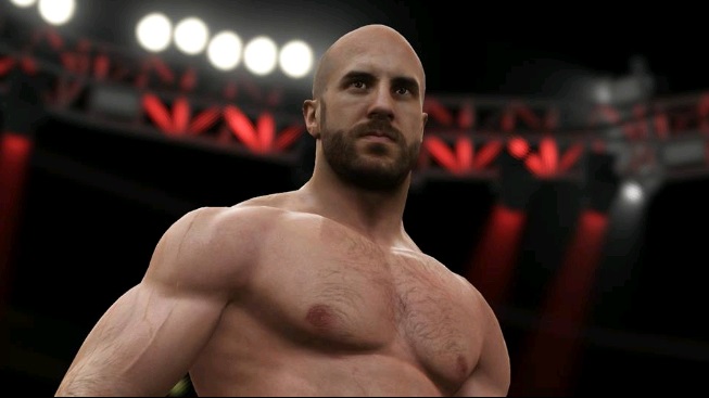 Illustration de l'article sur WWE 2K16